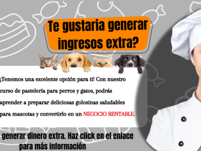 ¿Estás buscando una forma de emprender tu propio negocio desde casa y ganar ingresos extras? 😎